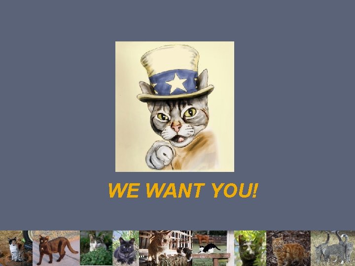 WE WANT YOU! WE WANT YOU!