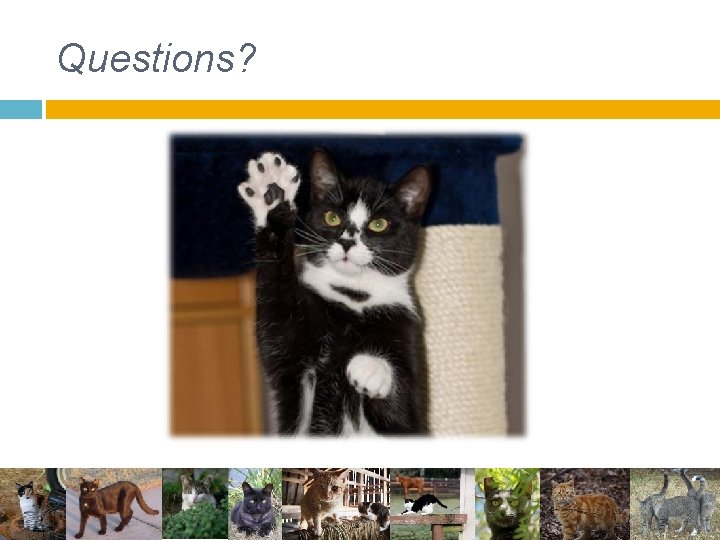 Questions? Questions?