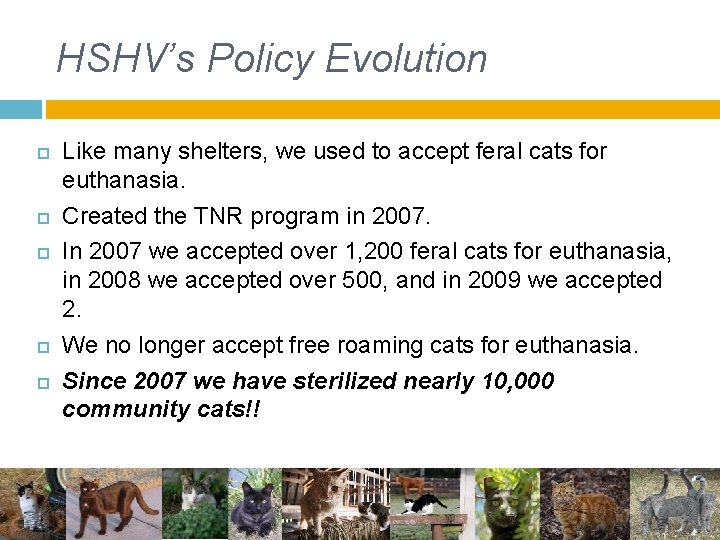 HSHV’s Policy Evolution Like many shelters, we used to accept feral cats for euthanasia. HSHV’s Policy Evolution Like many shelters, we used to accept feral cats for euthanasia.