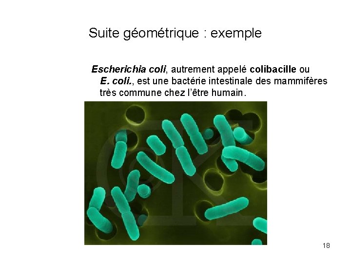 Suite géométrique : exemple Escherichia coli, autrement appelé colibacille ou E. coli. , est