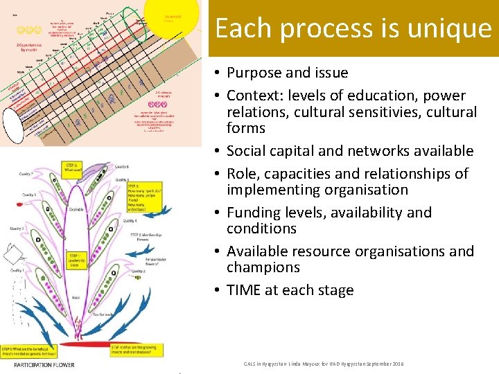 Each process is unique • Purpose and issue • Context: levels of education, power