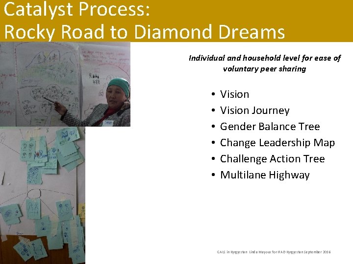 Catalyst Process: Rocky Road to Diamond Dreams Individual and household level for ease of