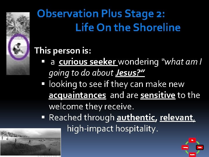 Observation Plus Stage 2: Life On the Shoreline This person is: a curious seeker