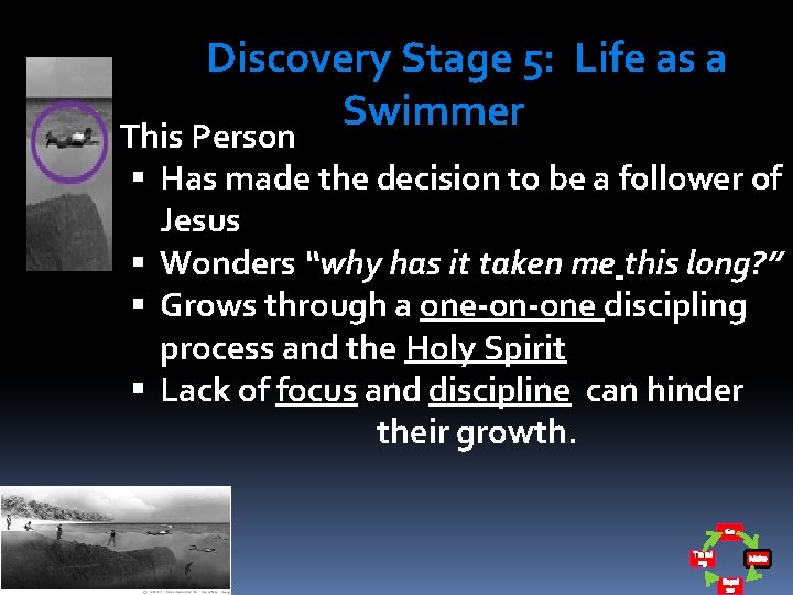 Discovery Stage 5: Life as a Swimmer This Person Has made the decision to