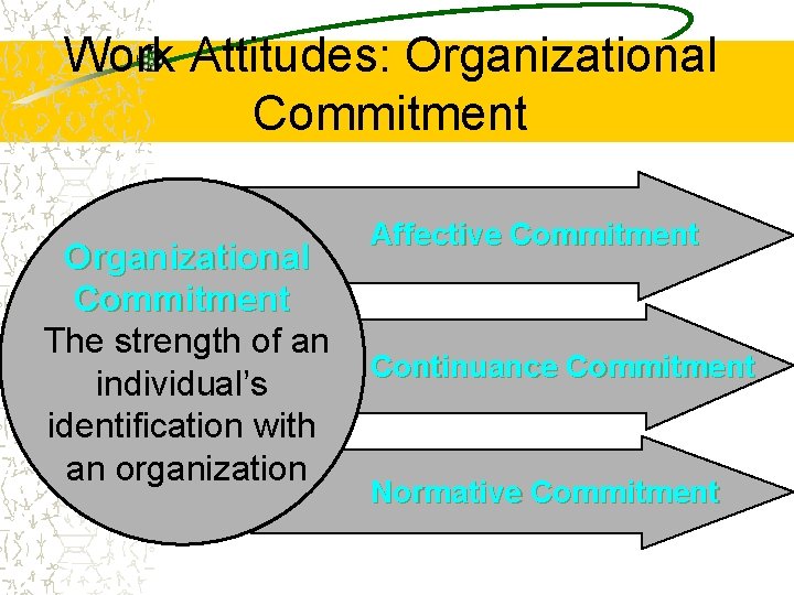 Work Attitudes: Organizational Commitment The strength of an individual’s identification with an organization Affective