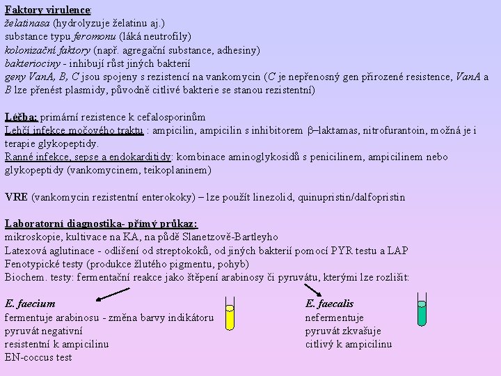 Faktory virulence: Faktory virulence želatinasa (hydrolyzuje želatinu aj. ) substance typu feromonu (láká neutrofily)