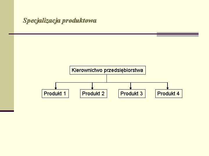 Specjalizacja produktowa Kierownictwo przedsiębiorstwa Produkt 1 Produkt 2 Produkt 3 Produkt 4 