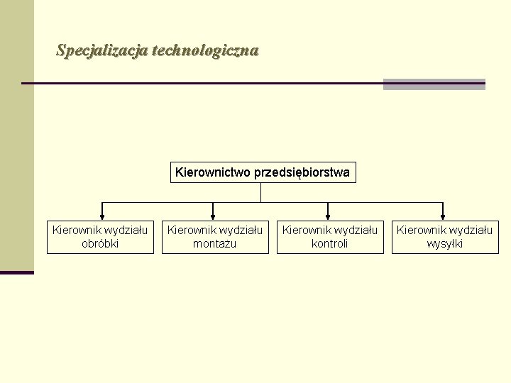 Specjalizacja technologiczna Kierownictwo przedsiębiorstwa Kierownik wydziału obróbki Kierownik wydziału montażu Kierownik wydziału kontroli Kierownik