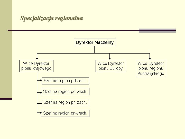 Specjalizacja regionalna Dyrektor Naczelny W-ce Dyrektor pionu krajowego Szef na region pd-zach. Szef na