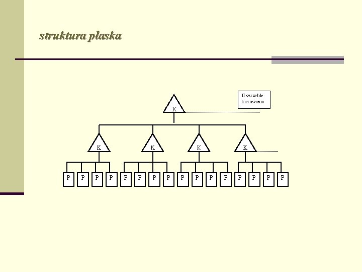 struktura płaska II szczeble kierowania K K P P P P P 