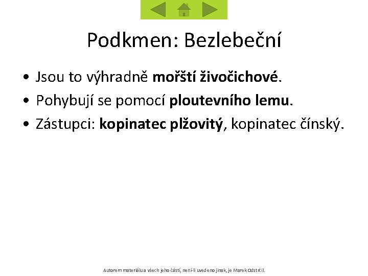 Podkmen: Bezlebeční • Jsou to výhradně mořští živočichové. • Pohybují se pomocí ploutevního lemu.