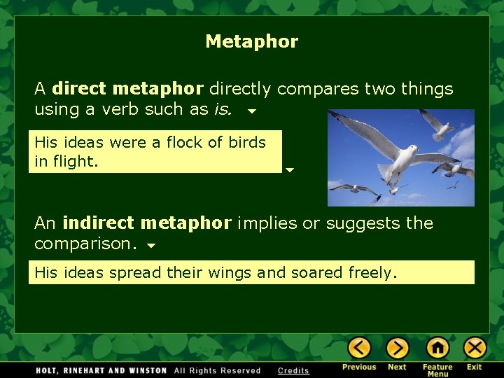Metaphor A direct metaphor directly compares two things using a verb such as is.
