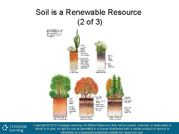 Soil is a Renewable Resource (2 of 3) Copyright © 2018 Cengage Learning. All
