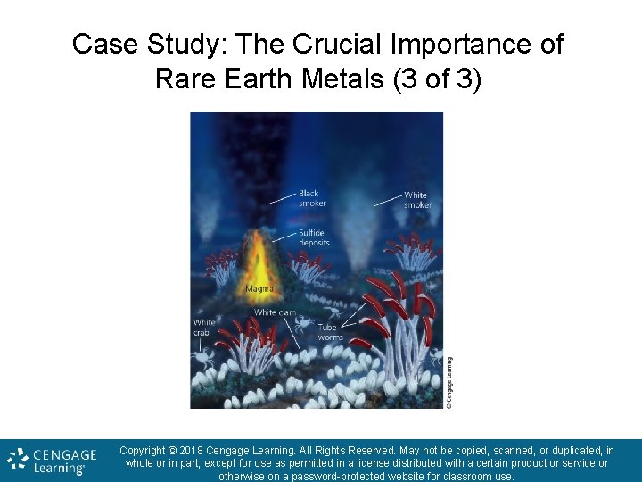 Case Study: The Crucial Importance of Rare Earth Metals (3 of 3) Copyright ©