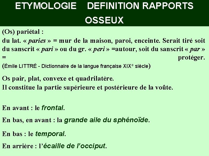 ETYMOLOGIE DEFINITION RAPPORTS OSSEUX (Os) pariétal : du lat. « paries » = mur