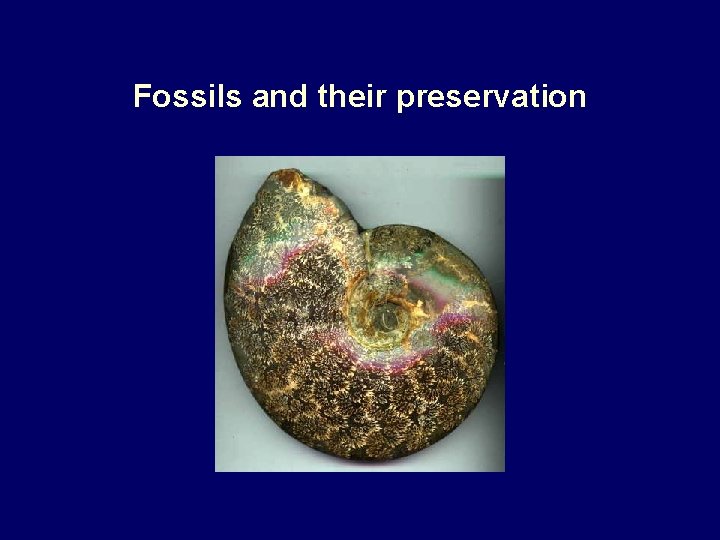 Fossils and their preservation 