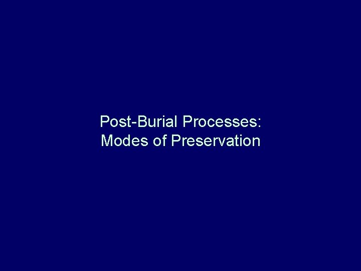 Post-Burial Processes: Modes of Preservation 
