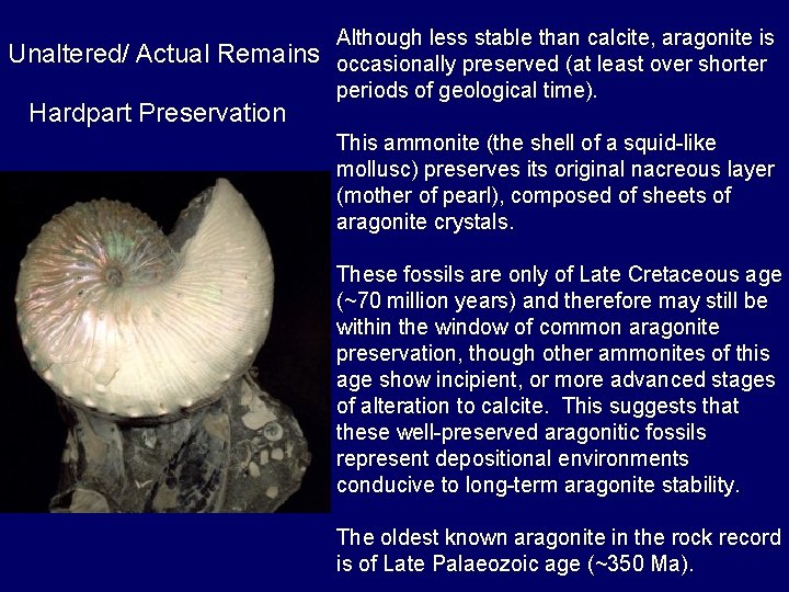 Unaltered/ Actual Remains Hardpart Preservation Although less stable than calcite, aragonite is occasionally preserved