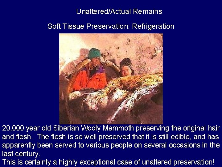 Unaltered/Actual Remains Soft Tissue Preservation: Refrigeration 20, 000 year old Siberian Wooly Mammoth preserving