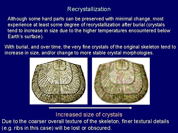 Recrystallization Although some hard parts can be preserved with minimal change, most experience at