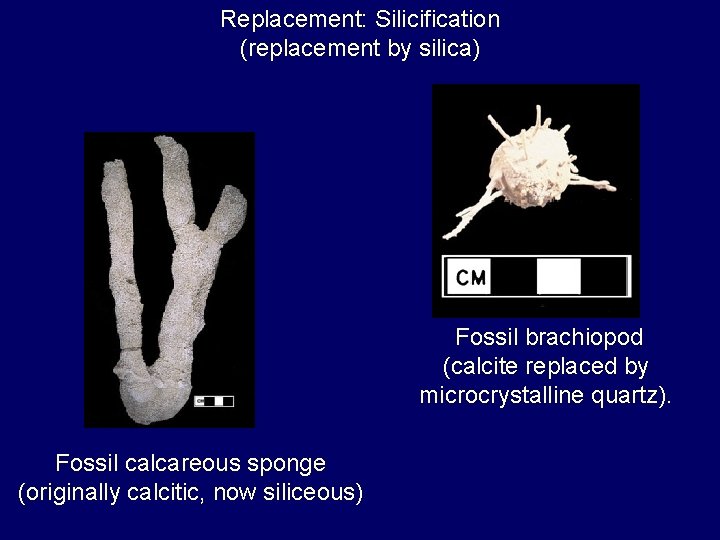 Replacement: Silicification (replacement by silica) Fossil brachiopod (calcite replaced by microcrystalline quartz). Fossil calcareous