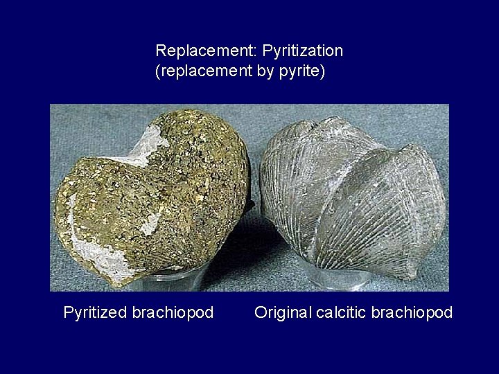 Replacement: Pyritization (replacement by pyrite) Pyritized brachiopod Original calcitic brachiopod 