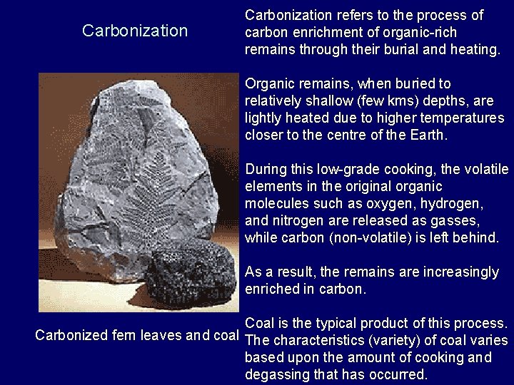 Carbonization refers to the process of carbon enrichment of organic-rich remains through their burial