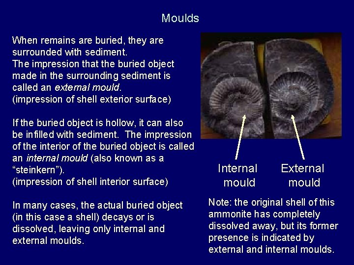 Moulds When remains are buried, they are surrounded with sediment. The impression that the