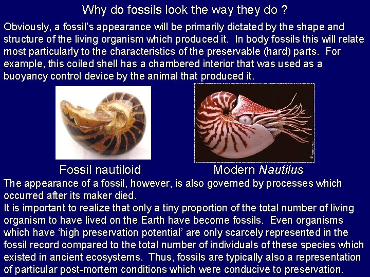 Why do fossils look the way they do ? Obviously, a fossil’s appearance will