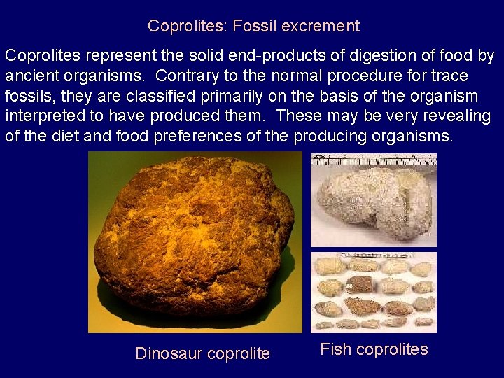 Coprolites: Fossil excrement Coprolites represent the solid end-products of digestion of food by ancient