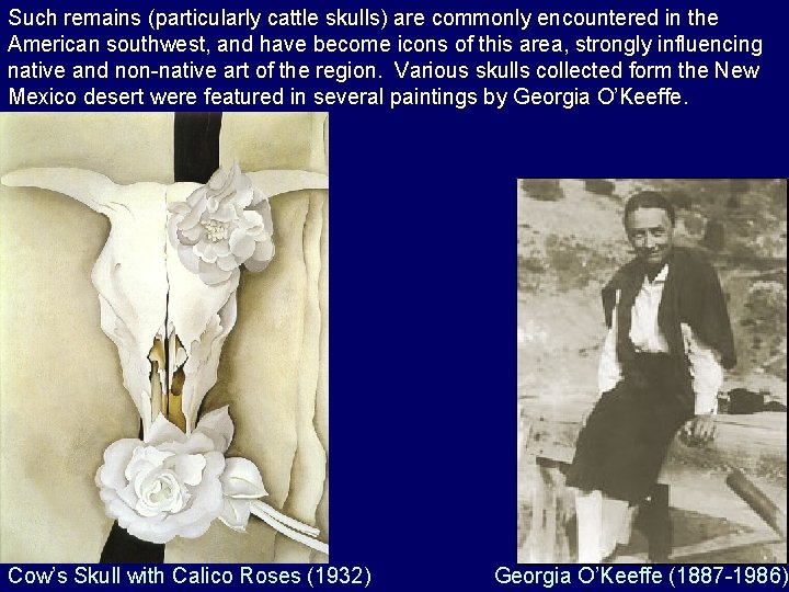 Such remains (particularly cattle skulls) are commonly encountered in the American southwest, and have