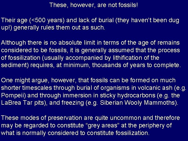 These, however, are not fossils! Their age (<500 years) and lack of burial (they