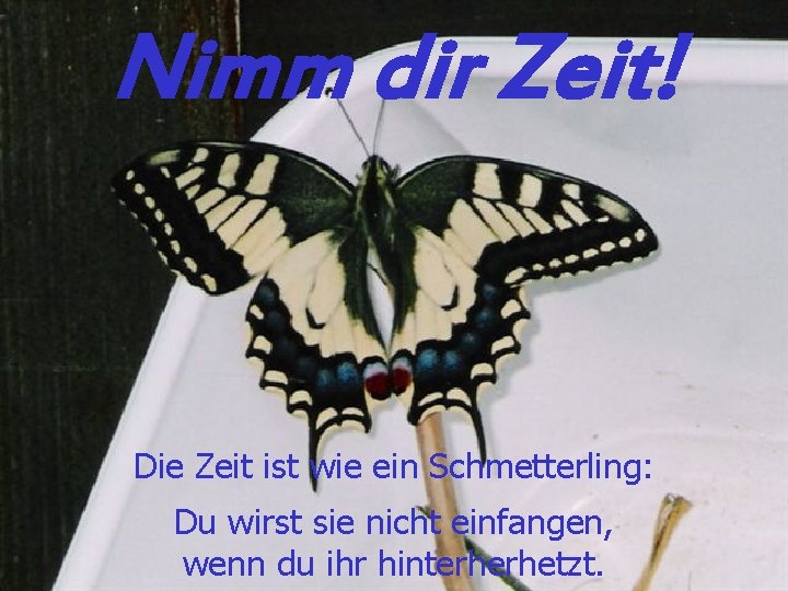 Nimm dir Zeit! Die Zeit ist wie ein Schmetterling: Du wirst sie nicht einfangen,