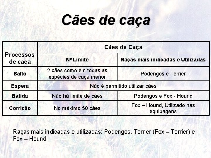 Cães de caça Cães de Caça Processos de caça Nº Limite Raças mais indicadas