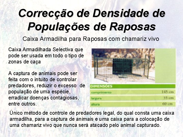 Correcção de Densidade de Populações de Raposas Caixa Armadilha para Raposas com chamariz vivo