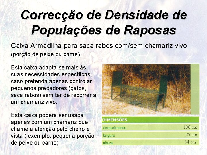 Correcção de Densidade de Populações de Raposas Caixa Armadilha para saca rabos com/sem chamariz