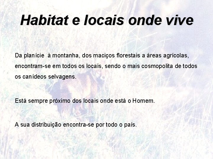 Habitat e locais onde vive Da planície à montanha, dos maciços florestais a áreas