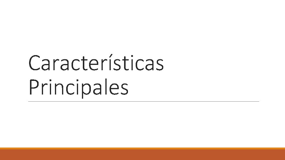 Características Principales 