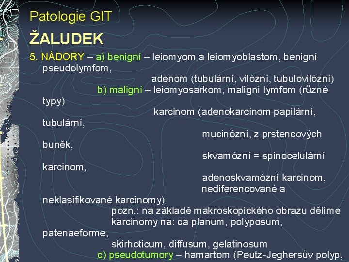 Patologie GIT ŽALUDEK 5. NÁDORY – a) benigní – leiomyom a leiomyoblastom, benigní pseudolymfom, Patologie GIT ŽALUDEK 5. NÁDORY – a) benigní – leiomyom a leiomyoblastom, benigní pseudolymfom,
