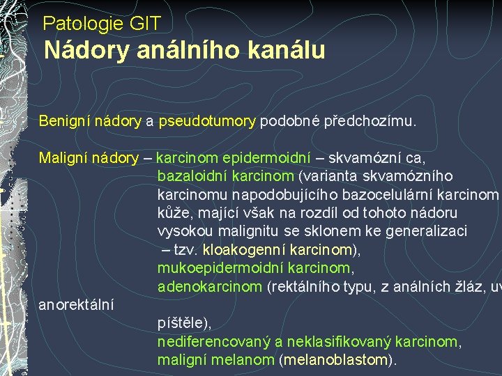 Patologie GIT Nádory análního kanálu Benigní nádory a pseudotumory podobné předchozímu. Maligní nádory – Patologie GIT Nádory análního kanálu Benigní nádory a pseudotumory podobné předchozímu. Maligní nádory –