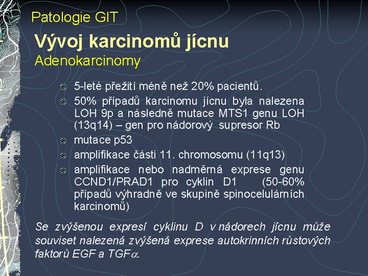 Patologie GIT Vývoj karcinomů jícnu Adenokarcinomy 5 -leté přežití méně než 20% pacientů. 50% Patologie GIT Vývoj karcinomů jícnu Adenokarcinomy 5 -leté přežití méně než 20% pacientů. 50%