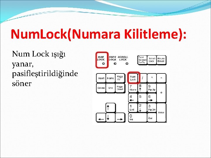 Num. Lock(Numara Kilitleme): Num Lock ışığı yanar, pasifleştirildiğinde söner Num. Lock(Numara Kilitleme): Num Lock ışığı yanar, pasifleştirildiğinde söner