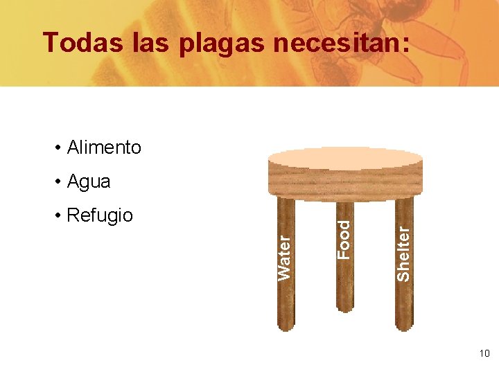 Todas las plagas necesitan: • Alimento Shelter Water • Refugio Food • Agua 10