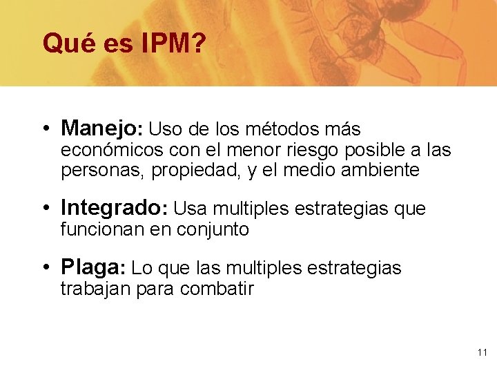 Qué es IPM? • Manejo: Uso de los métodos más económicos con el menor