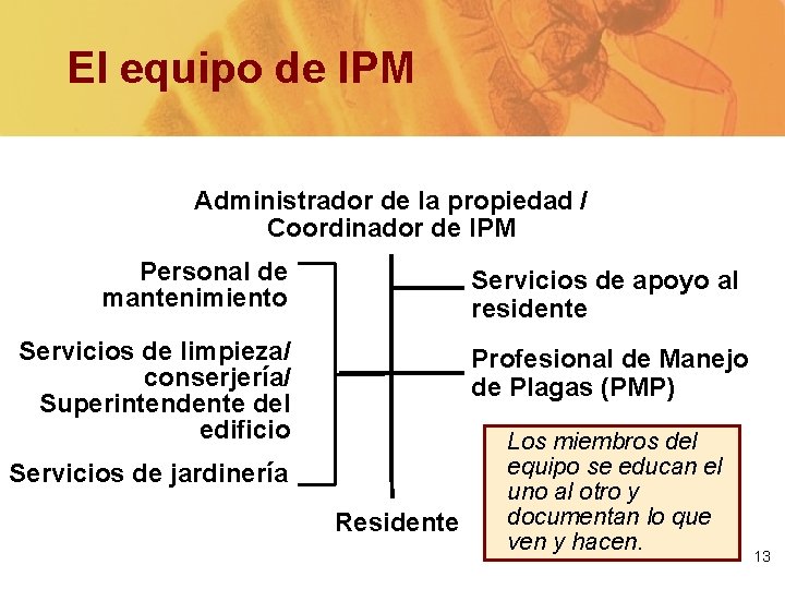 El equipo de IPM Administrador de la propiedad / Coordinador de IPM Personal de