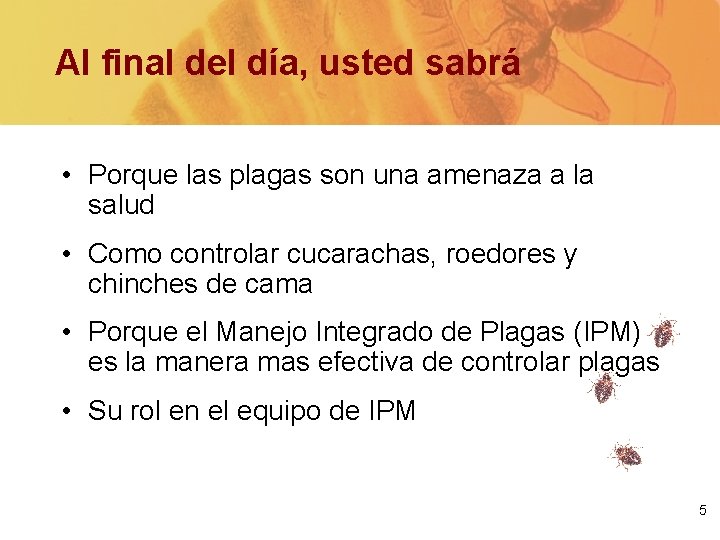 Al final del día, usted sabrá • Porque las plagas son una amenaza a