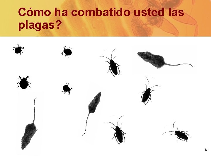 Cómo ha combatido usted las plagas? 6 