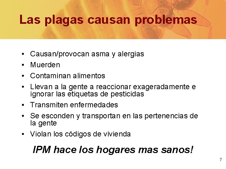 Las plagas causan problemas • • Causan/provocan asma y alergias Muerden Contaminan alimentos Llevan