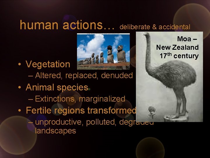 human actions… deliberate & accidental • Vegetation – Altered, replaced, denuded • Animal species human actions… deliberate & accidental • Vegetation – Altered, replaced, denuded • Animal species
