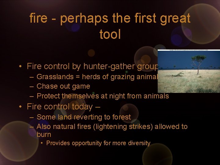 fire - perhaps the first great tool • Fire control by hunter-gather groups –